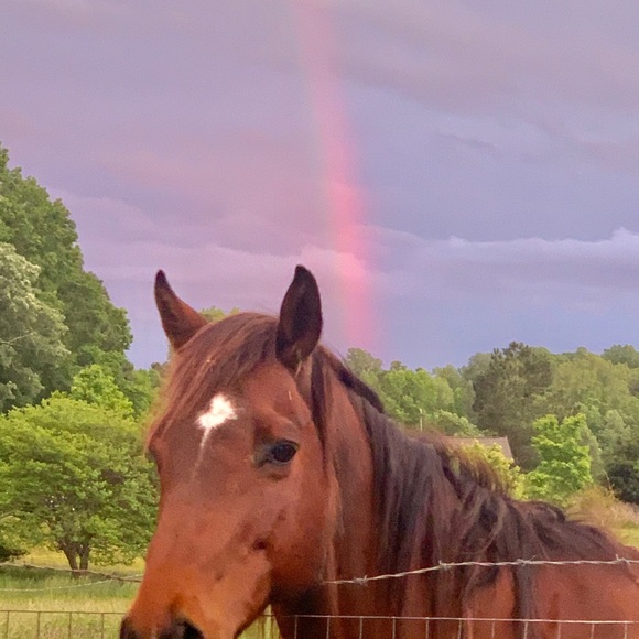 Meet your Posher, Sandi - Picture 10 of 16